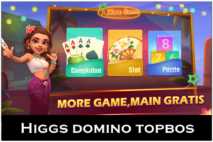 Higgs Domino Topbos Apk